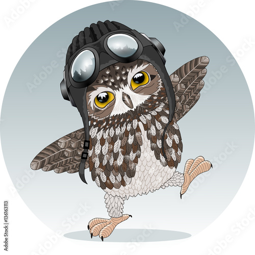 eagle wearing sunglasses