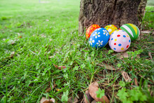 Painted Easter Eggs Hidden On The Grass Behind A Tree Trunk, Ready For The Easter Egg Hunt Traditional Play Game