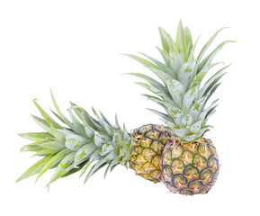  small pineapple isolated on white background
