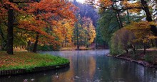 Pond In A Park In Autumn