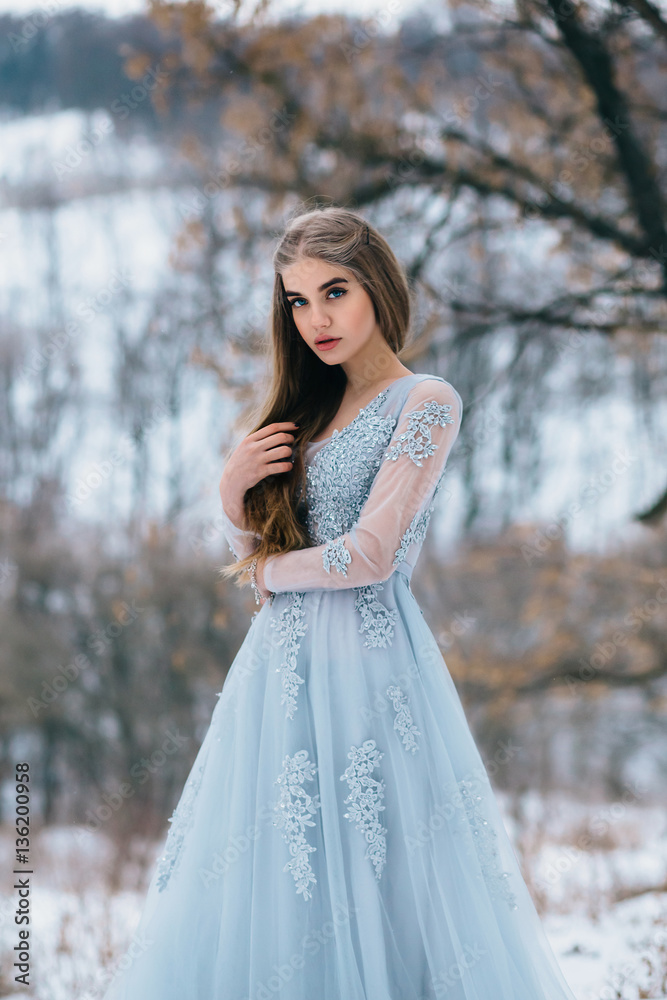 Lady in a luxury lush blue dress, fantastic shot, fairytale princess is walking in the winter forest Stock Photo | Adobe Stock Lady in a luxury lush blue dress, fantastic shot, fairytale princess is walking in the winter forest Stock Photo | Adobe Stock