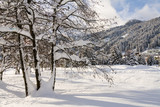 Fototapeta Na ścianę - Davos during winter, Switzerland, EU