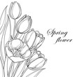 Vector bouquet with outline tulips flowers isolated on white. Ornate floral elements for spring design and coloring book. Corner composition with bunch of tulip flower in contour style.