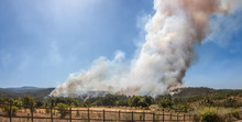 Forest Fire At Angol, Bio Bio Region, Chile.