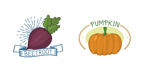 Poster - Fresh pumpkin and beet badge isolated vector illustration.