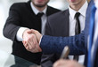 © ASDF - businessman shaking hands to seal a deal with his partner