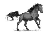Fototapeta Konie - Running black horse for equestrian sport