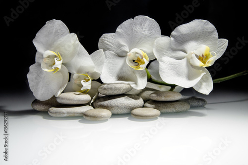 plaskie-kamienie-na-bialej-szklanej-powierzchni-na-tle-bialych-orchidei