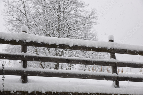 Neve Montagna Bosco Alberi Innevati Nevica Rami Neve Bianco