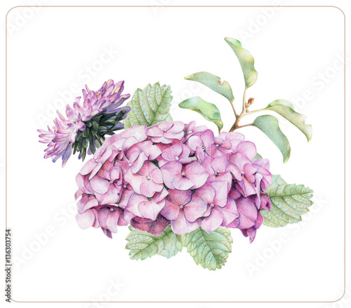 Composition Of Different Spring Flowers And Plants Drawn By Hand With Colored Pencils Pencil Drawing Floral Bouquet Ikebana Stock Illustration Adobe Stock A man with a past. spring flowers and plants drawn
