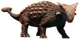 Fototapeta  - Ankylosaurus