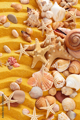 Naklejka - mata magnetyczna na lodówkę Yellow sand and seashells background.