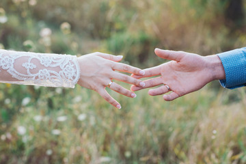 Wedding couple holding hands on nature background.Bride and groom hands with wedding rings