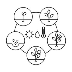 Wall Mural - Plant growth stages. Line art icons. Linear style illustration  isolated on white.  Planting fruits, vegetables process. Flat design style.