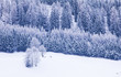 © vitaprague - Winter in Alps