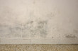 Mould and moisture build up on a wall