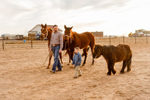 Father And Son Walking With Pony And Two Horses At Ranch