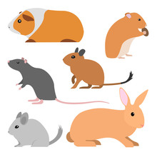 Set Of Cute Rodents, Vector Isolated Small Domestic Animals Cartoon Style. Pet Cavy, Hamster, Rat, Degu, Chinchilla, Rabbit Illustration. Group Of Rodent Pets, Vector Flat Design. 