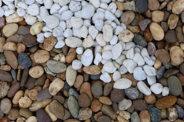 Beautiful stone by the sea textures. Brown and white color, as nature background or print card