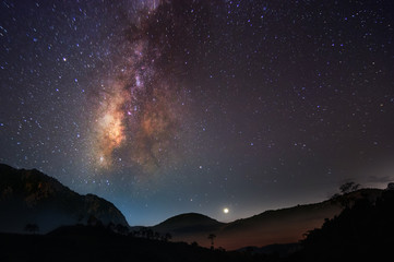 Wall Mural - milky way on hill