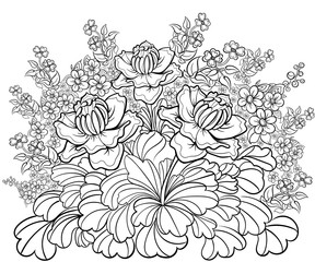 Hand drawn ink pattern. Coloring book for adult