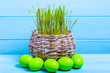 Fresh grass and easter eggs in green pastel color.