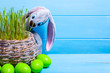 Green easter eggs and bunny in grass, fresh spring wheat in a pot