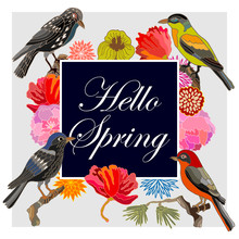 Hello Spring. Vintage Card With Fantasy Birds And Flowers. 