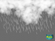 Rain and white cloud isolated on transparent background. Vector
