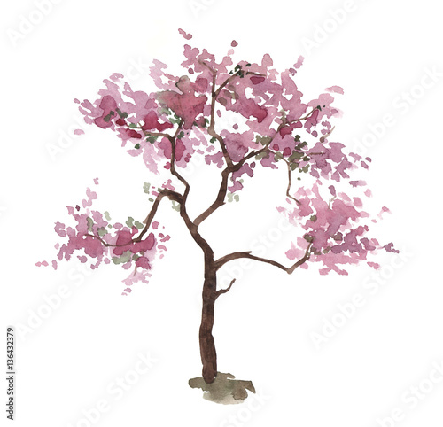 Tapeta ścienna na wymiar Różowy drzewo wiśni