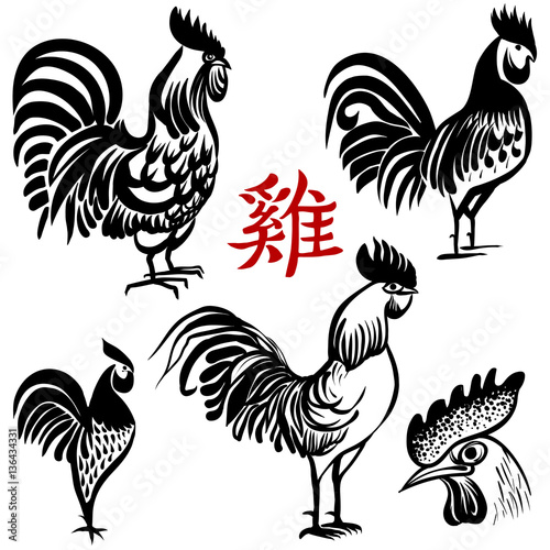 Ink Hand Drawn Vector Rooster Chinese Brush Painting Chinese