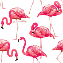 Tropical Bird Flamingo Background - Seamless Pattern Vector 
