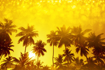 Wall Mural - Palm trees silhouettes on tropical beach at summer warm vivid sunset with party shiny glitter overlay effect