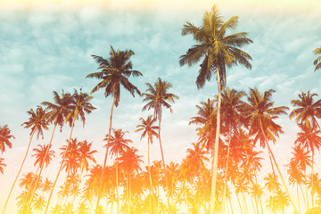 Wall Mural - Coconut palm trees on tropical beach vintage nostalgic film flare leak and color filter stylized