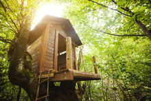 Tree House In The Garden.