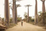 Baobab Alley in Madagascar, Africa. People walking on baobab all