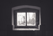 Broken Old Cellar Window