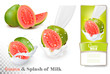 Guava in a milk splash and label on a transparent background. Ve
