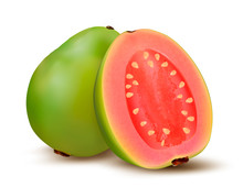 Fresh Green Guava Fruit. Vector.