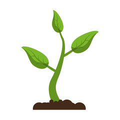 Poster - sprout growing plant eco vector illustration eps 10