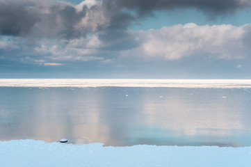 Wall Mural -  Sea at winter day