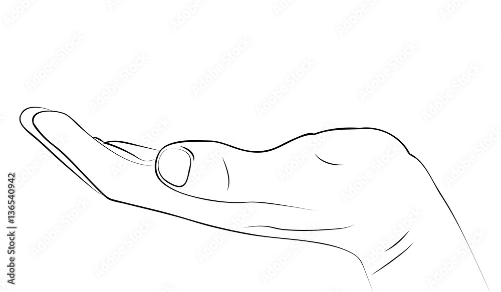 Featured image of post Mano Aperta Vettoriale Descrive o specifica un sostantivo