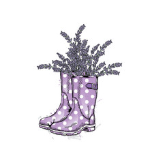 Bouquet Of Lavender In A Beautiful Polka Dot Rubber Boots. Vector Illustration. Spring Flowers.