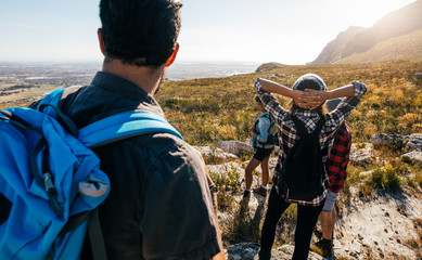 Wall Mural - group of friends hiking in nature