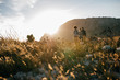 © Jacob Lund - Young people walking in countryside