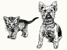 Hand Drawn Kitten And Yorkshire Terrier.