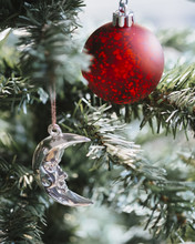 Close-up Of Christmas Ornament And Decoration Hanging On Pine Tree