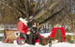 © AnastazjaSoroka - couple in love on the background of a winter landscape
