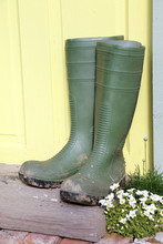 Green Wellington Boots Sitting On Doorstep