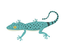 Blue Lizard Reptile Isolated Vector Illustration.